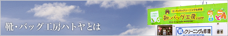 メインイメージ